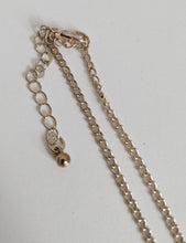 Load image into Gallery viewer, Long Silver Chain Necklace