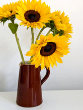 Load image into Gallery viewer, Brown and Cream Jug
